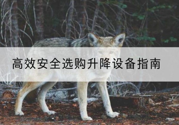 建宁升降货梯厂家推荐-*安全选购升降设备指南