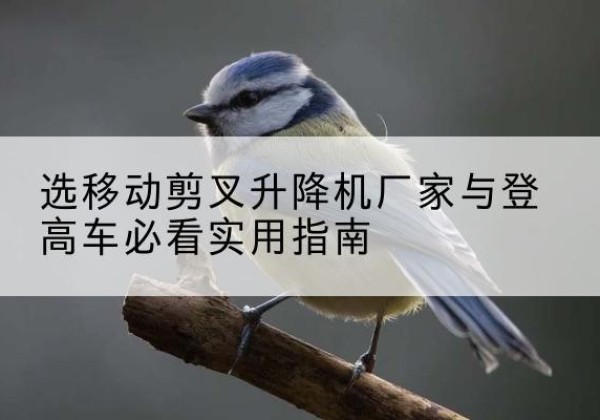 建宁电动升降机厂家-选移动剪叉升降机厂家与登高车必看实用指南