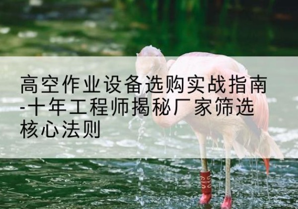 建宁剪叉式升降机厂家-高空作业设备选购实战指南-十年工程师揭秘厂家筛选核心法则